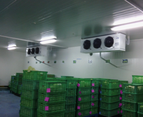 保鮮冷庫成本費用 保鮮冷庫成本費用