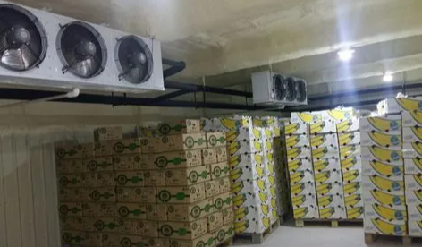 香蕉保鮮冷庫 香蕉保鮮冷庫