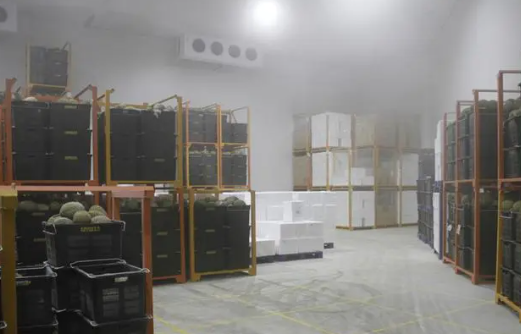 榴蓮放在冷庫(kù)里環(huán)境溫度是多少℃