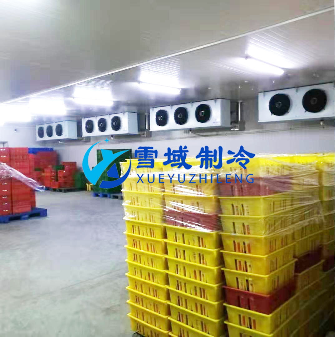 徐州衛崗速凍冷庫現場圖片 徐州衛崗速凍冷庫現場圖片