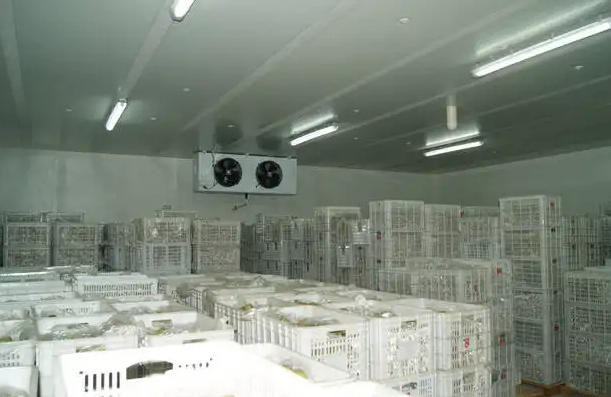 東營(yíng)蔬菜恒溫冷庫(kù)安裝一平米大概多少錢