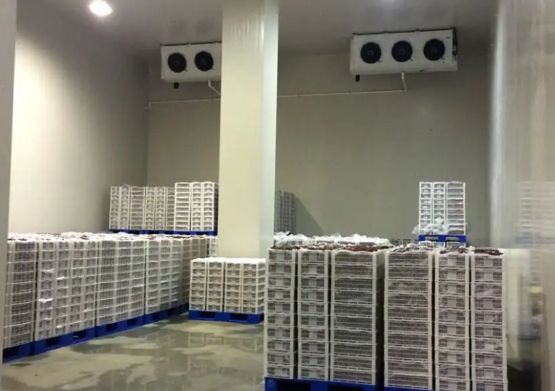 租別人冷庫和自己建造冷庫到底哪個會劃算一些 租別人冷庫和自己建造冷庫到底哪個會劃算一些