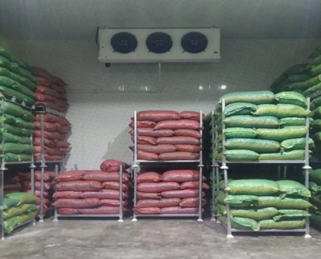 刀豆保鮮庫 刀豆保鮮庫