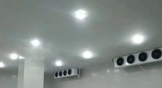 冷庫燈安裝 冷庫燈安裝