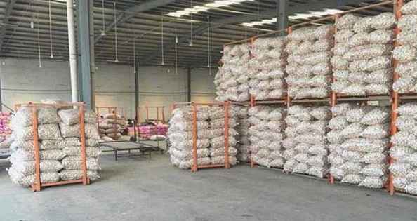 建造冷庫時(shí)地面該怎么處理