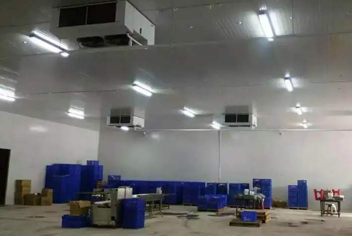 食品冷庫為什么不推薦建造地下室 食品冷庫為什么不推薦建造地下室