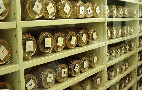 安裝500平米科研種子冷庫(kù)費(fèi)用是多少？