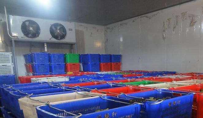 冷庫設計標準的相關規范 冷庫設計標準的相關規范