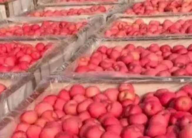 蘋果冷庫(kù)儲(chǔ)藏溫度多少合適