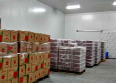 蘋果冷庫(kù)儲(chǔ)藏溫度多少合適