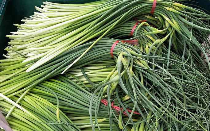 蒜苔冷庫(kù)保鮮利潤(rùn)有多大 蒜苔冷庫(kù)保鮮利潤(rùn)有多大