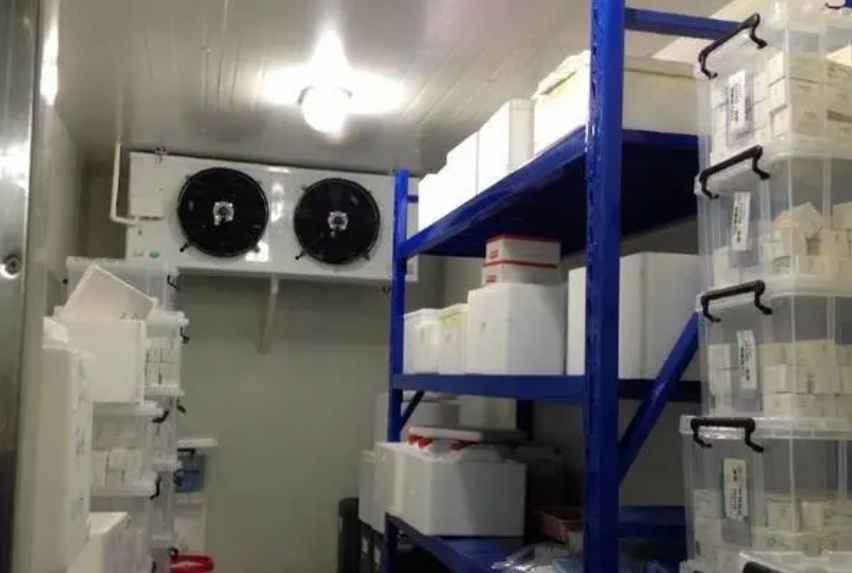 建設標準冷庫大概多少錢一平方米