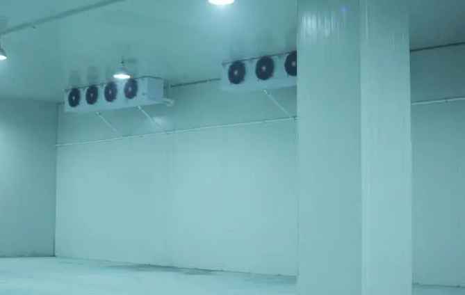 60平米低溫冷凍庫造價多少錢一平方 60平米低溫冷凍庫造價多少錢一平方