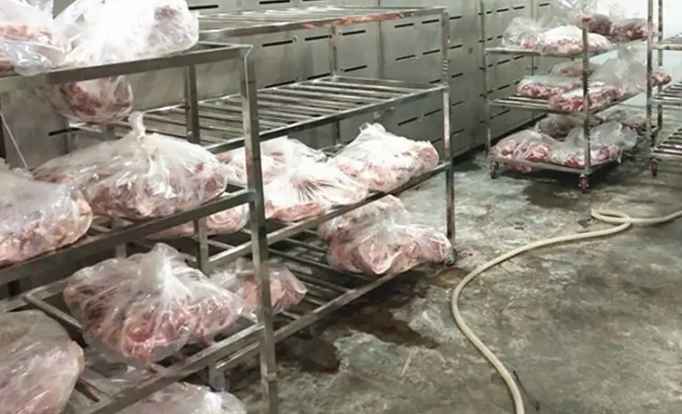 羊肉冷藏庫建設多少錢一平方