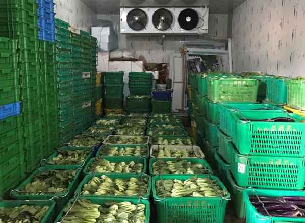 蓮霧怎么在保鮮冷庫中保存 蓮霧怎么在保鮮冷庫中保存