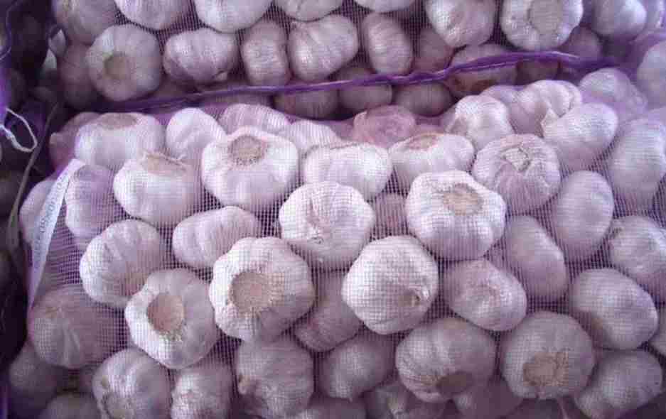 搭建一個(gè)儲(chǔ)存大蒜的冷庫(kù)造價(jià)多少錢