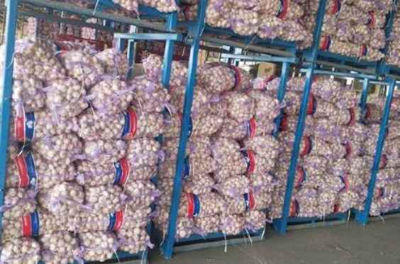 搭建一個(gè)儲(chǔ)存大蒜的冷庫(kù)造價(jià)多少錢