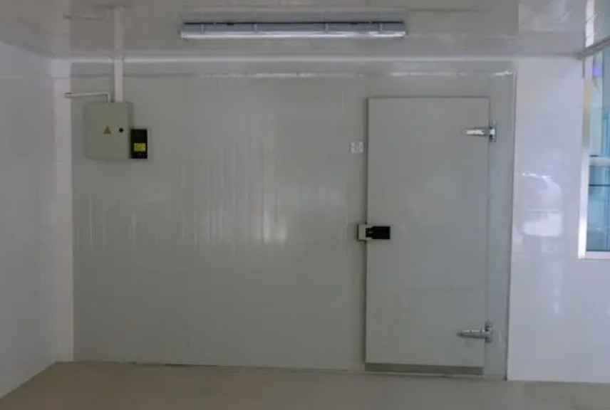 建個菠蘿水果冷庫要多少錢 建個菠蘿水果冷庫要多少錢