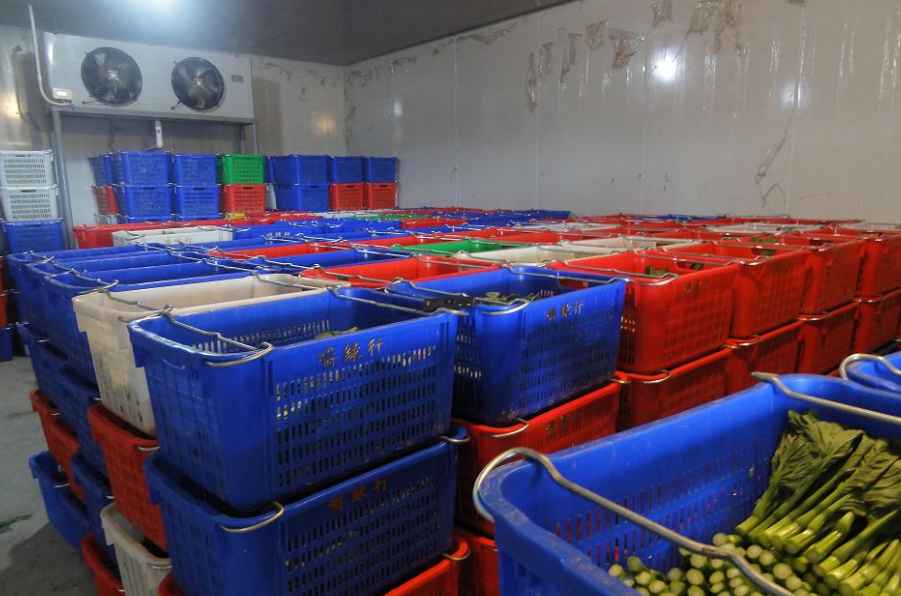 蔬菜能在氣調(diào)保鮮庫儲藏多少久 蔬菜能在氣調(diào)保鮮庫儲藏多少久