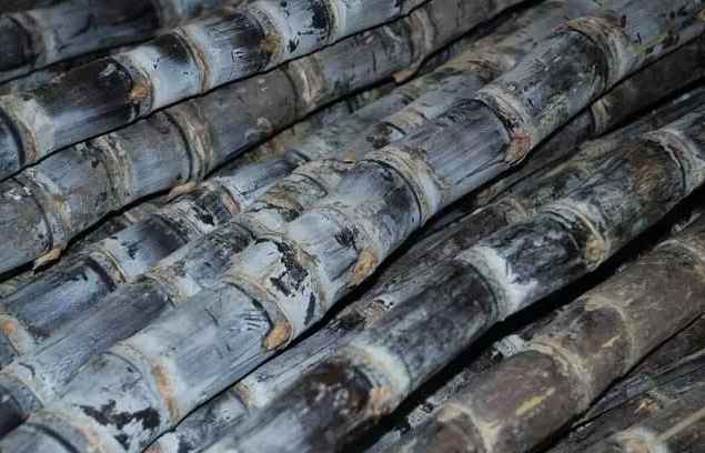 建造甘蔗保鮮冷庫價格多少錢 建造甘蔗保鮮冷庫價格多少錢