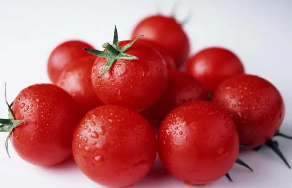 西紅柿氣調冷庫保鮮儲存方法講解 西紅柿氣調冷庫保鮮儲存方法講解