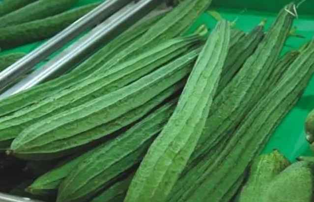 建50平米絲瓜冷庫(kù)安裝價(jià)格多少錢