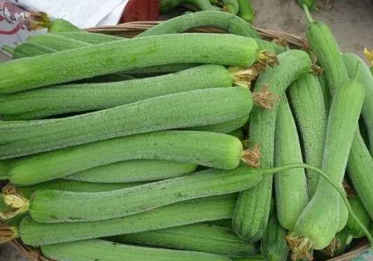 建50平米絲瓜冷庫(kù)安裝價(jià)格多少錢