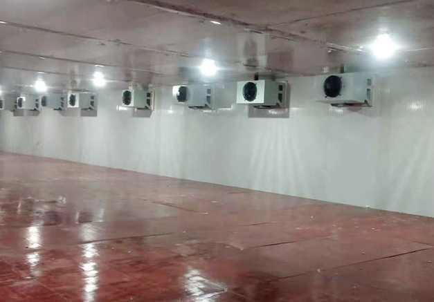 冷庫(kù)辣椒運(yùn)輸打冷多少度 冷庫(kù)辣椒運(yùn)輸打冷多少度