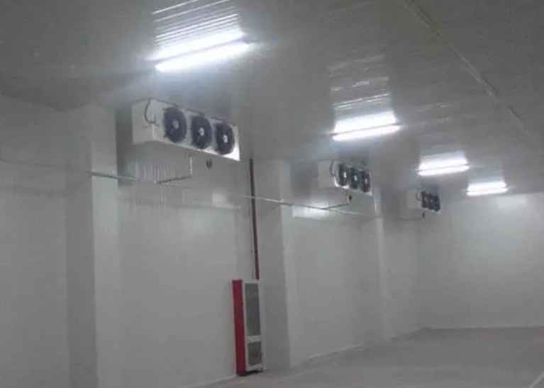 建造1000平方的冷庫需要多少錢