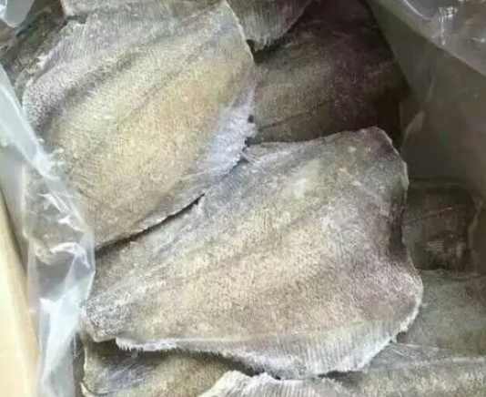 安裝50平米凍魚(yú)冷凍冷庫(kù)價(jià)格多少錢(qián)