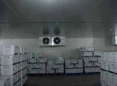 冷庫驗證多少年一次 冷庫驗證多少年一次