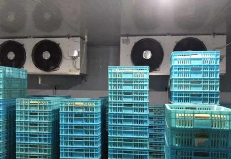 速凍庫多少錢一個(gè)平方米