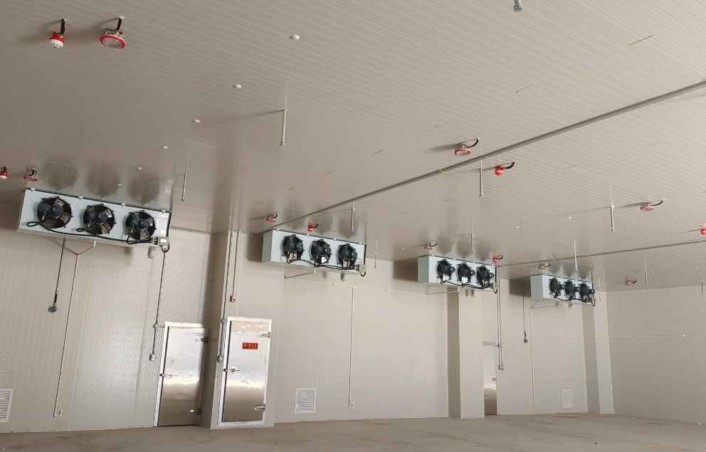 獼猴桃進冷庫前注意事項有哪些 獼猴桃進冷庫前注意事項有哪些