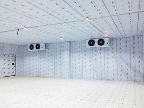 豆角在冷庫里能儲存多長時間 豆角在冷庫里能儲存多長時間