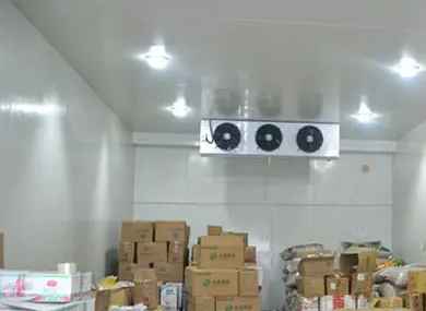 建100平方冷庫(kù)需要成本多少錢 建100平方冷庫(kù)需要成本多少錢