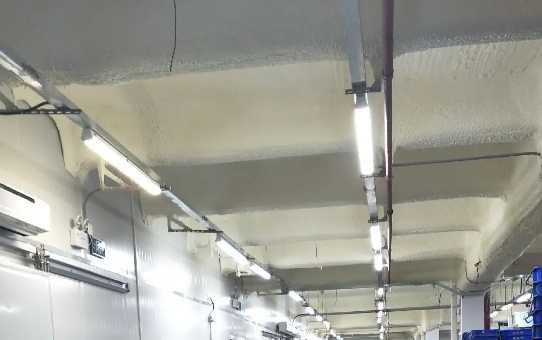 冷庫驗(yàn)收標(biāo)準(zhǔn)有哪些內(nèi)容