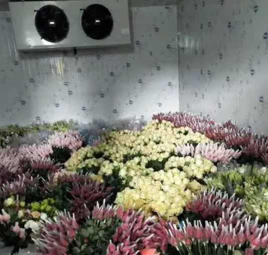 冷庫(kù)不制冷原因和處理方法 冷庫(kù)不制冷原因和處理方法