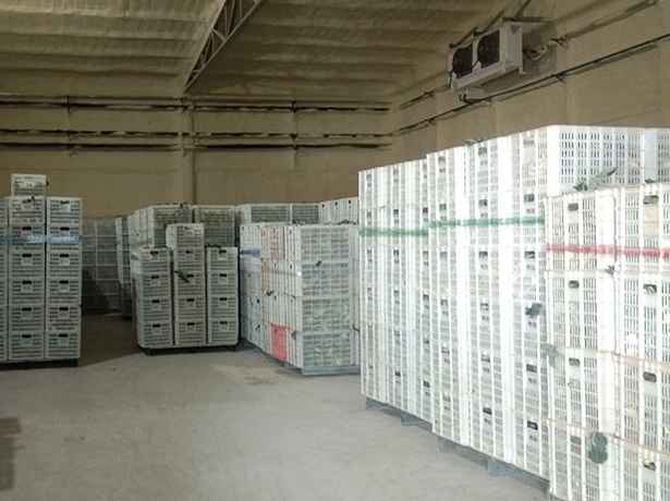 雞蛋保鮮冷庫技術(shù)要求