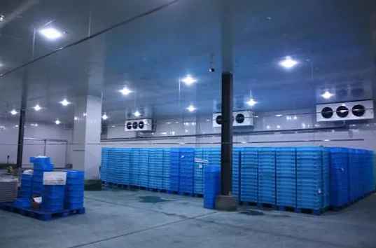 南京醫藥冷庫工程造價多少錢 南京醫藥冷庫工程造價多少錢