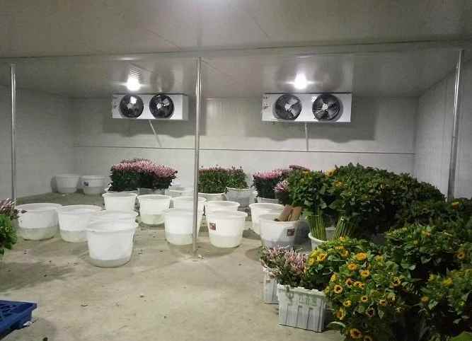 建冷庫(kù)廠家電話是多少 建冷庫(kù)廠家電話是多少