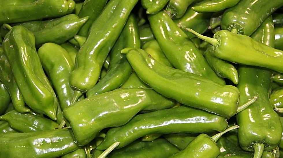 青椒冷庫保鮮儲存方法 青椒冷庫保鮮儲存方法