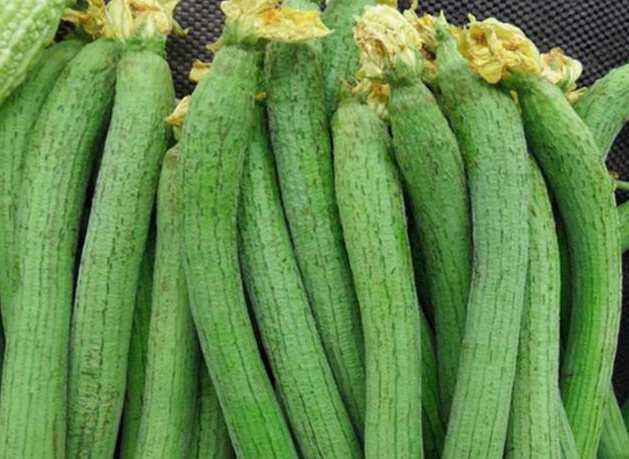 冷庫保鮮溫度一般多少 冷庫保鮮溫度一般多少