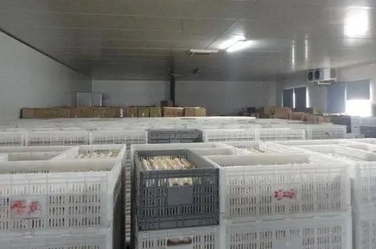 雞蛋冷庫溫度多少合適 雞蛋冷庫溫度多少合適