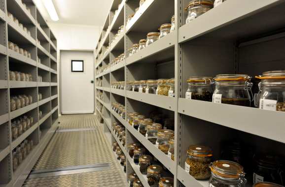 種子冷庫安裝注意哪些問題 種子冷庫安裝注意哪些問題