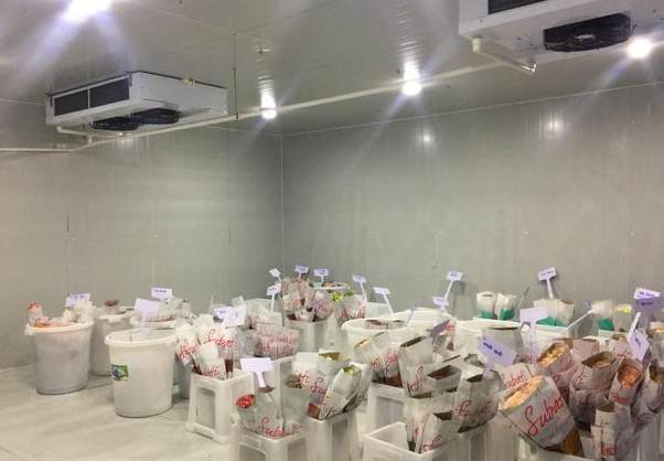 花卉小型冷庫建設多少錢一平方 花卉小型冷庫建設多少錢一平方