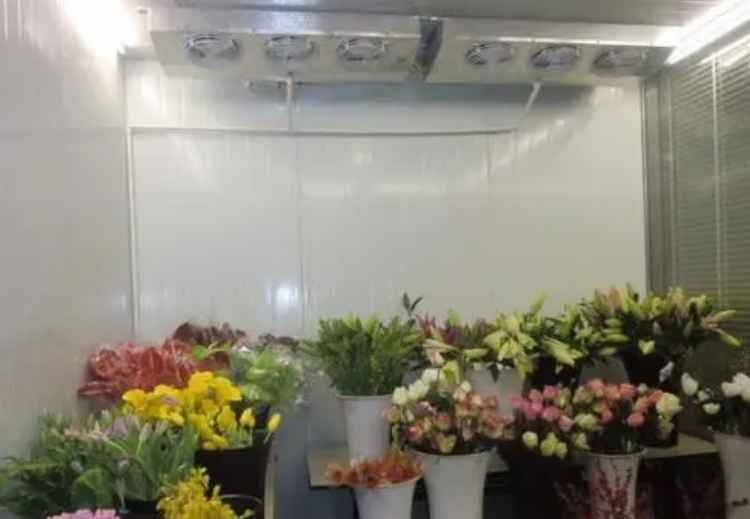 花卉小型冷庫建設多少錢一平方 花卉小型冷庫建設多少錢一平方