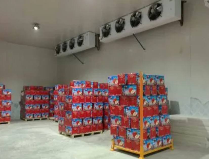 建一個1000平米冷庫大概要多少錢費用 建一個1000平米冷庫大概要多少錢費用