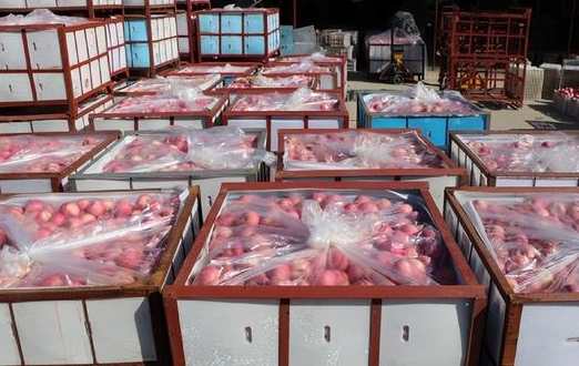 蘋(píng)果冷庫(kù)儲(chǔ)存方法及溫度是多少 蘋(píng)果冷庫(kù)儲(chǔ)存方法及溫度是多少