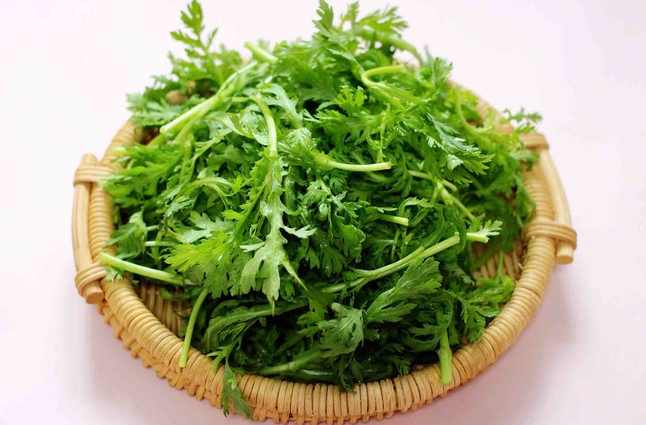 茼蒿冷庫保鮮儲存方法 茼蒿冷庫保鮮儲存方法