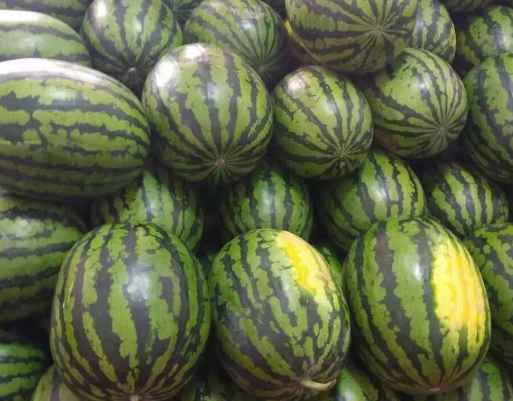 小型西瓜保鮮冷庫(kù)安裝多少錢(qián) 小型西瓜保鮮冷庫(kù)安裝多少錢(qián)